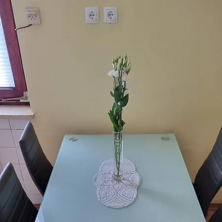 Apartma Tanja -kamnik 公寓 *