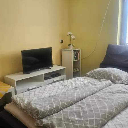 公寓 Apartma Tanja -kamnik *